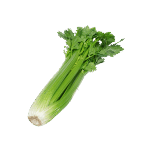 céleri